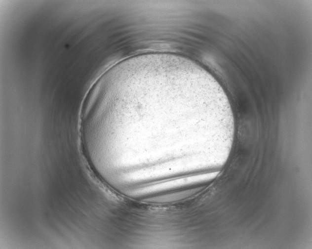 X0000068261378200605121809