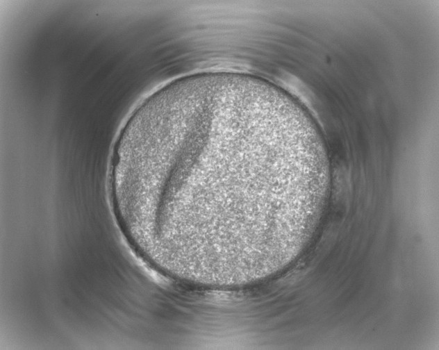 X0000068261379200605121809