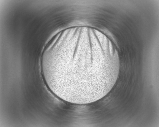 X0000068261382200605121809