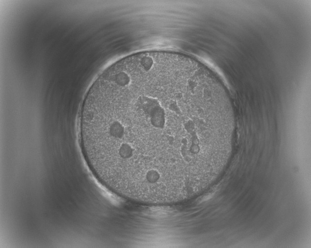 X0000068261383200605121809