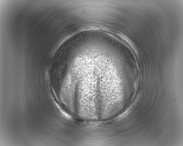 X0000068261385200605121809