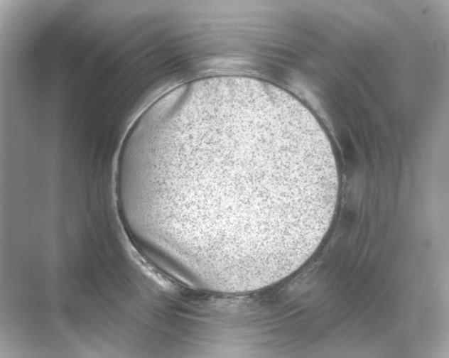 X0000068261386200605121809