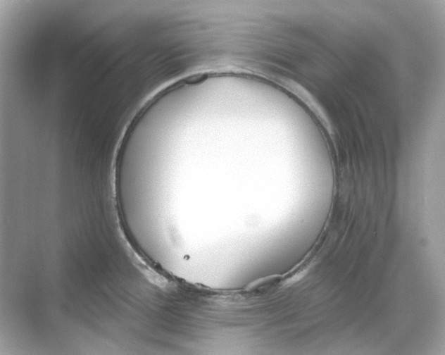 X0000068261388200605121809