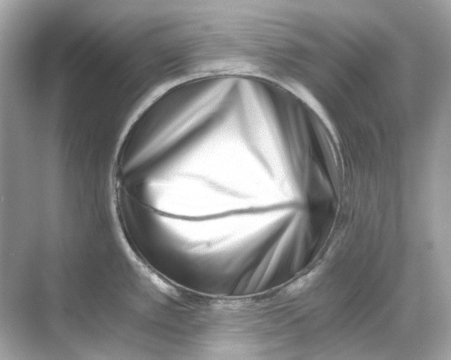 X0000068261389200605121809