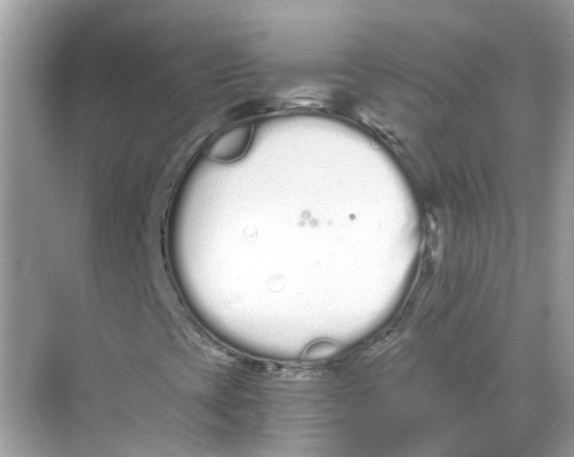 X0000068261393200605121808