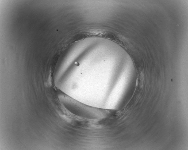 X0000068261394200605121808