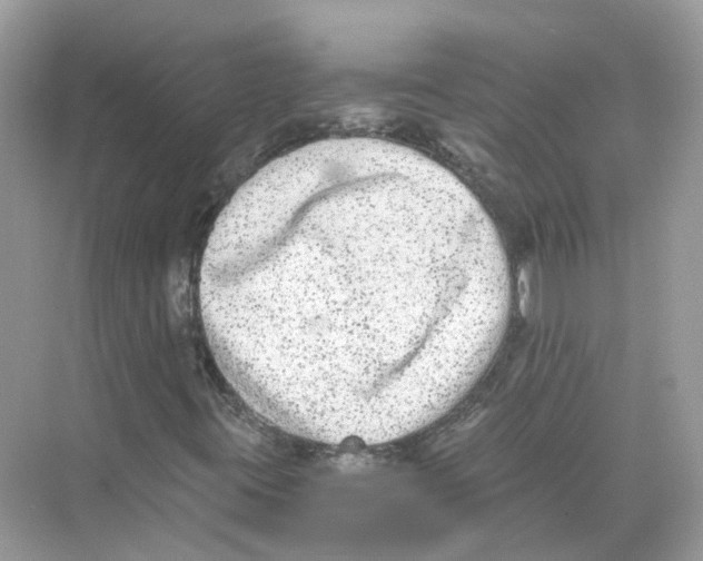 X0000068261395200605121808