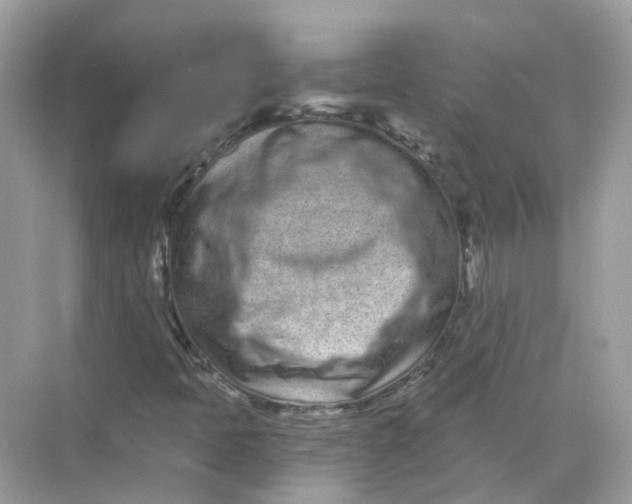 X0000068261397200605121808