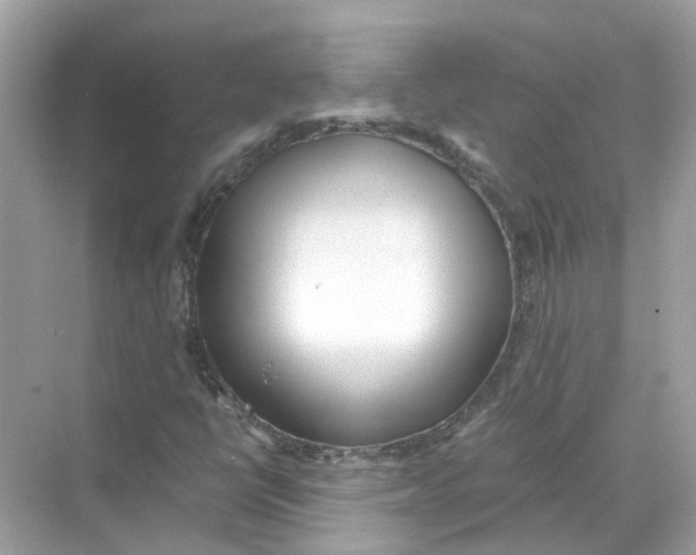 X0000068261398200605121808