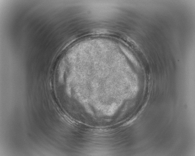 X0000068261401200605121808