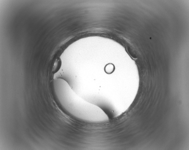 X0000068261402200605121808