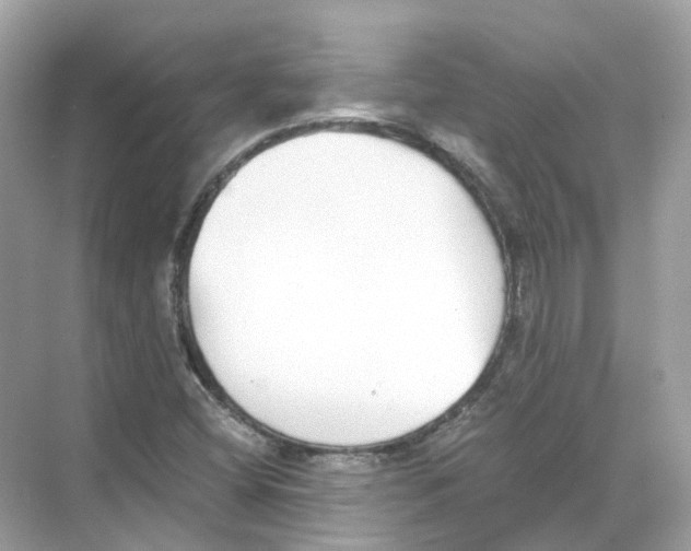 X0000068261404200605121808