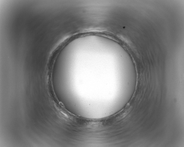 X0000068261406200605121808