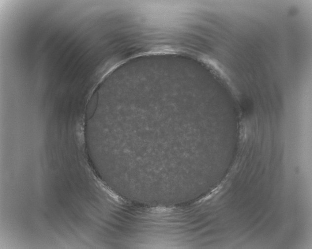 X0000068261409200605121808