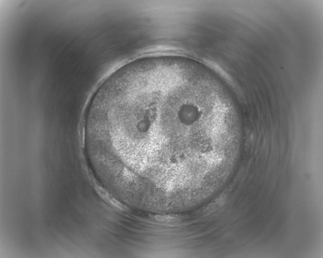 X0000068261413200605121808