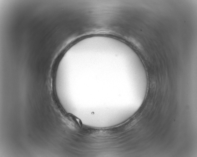 X0000068261414200605121808