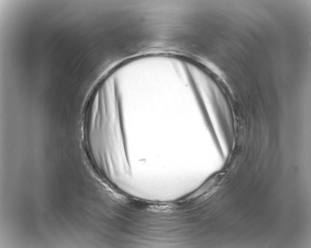 X0000068261415200605121808