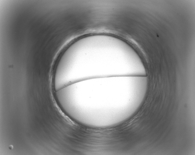 X0000068261416200605121808