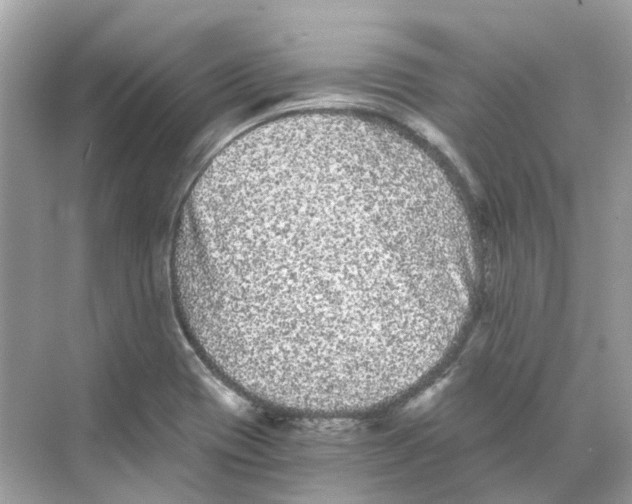 X0000068261417200605121808