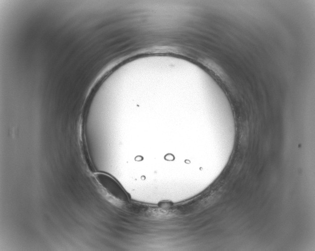 X0000068261420200605121808