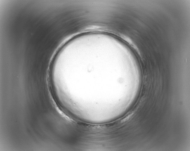 X0000068261421200605121808