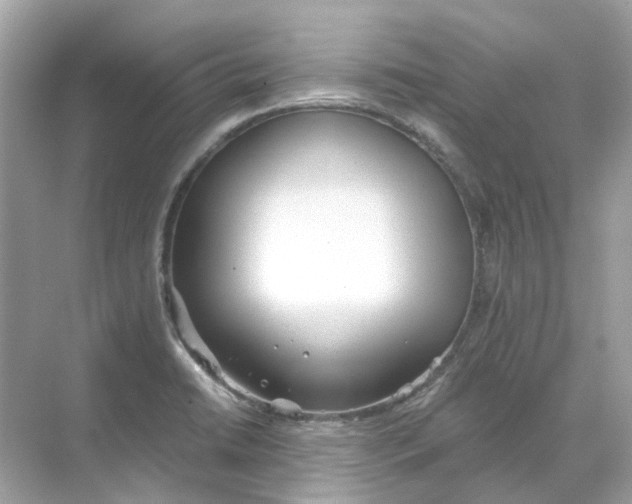 X0000068261422200605121808