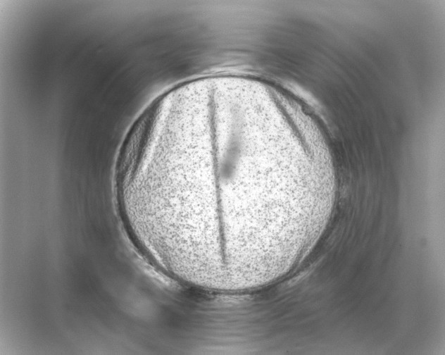 X0000068261423200605121808