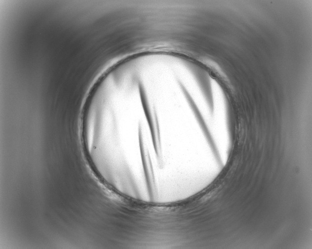 X0000068261424200605121808