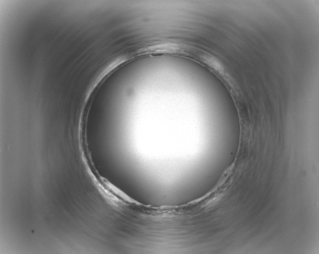 X0000068261426200605121808