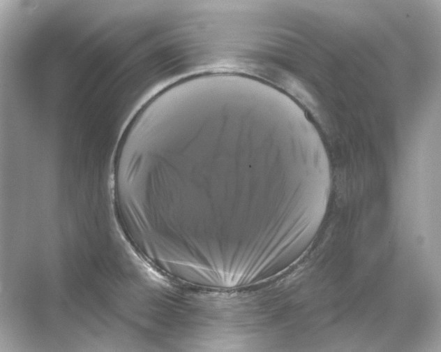 X0000068261428200605121808