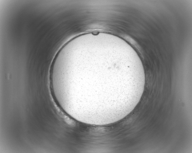 X0000068261431200605121808