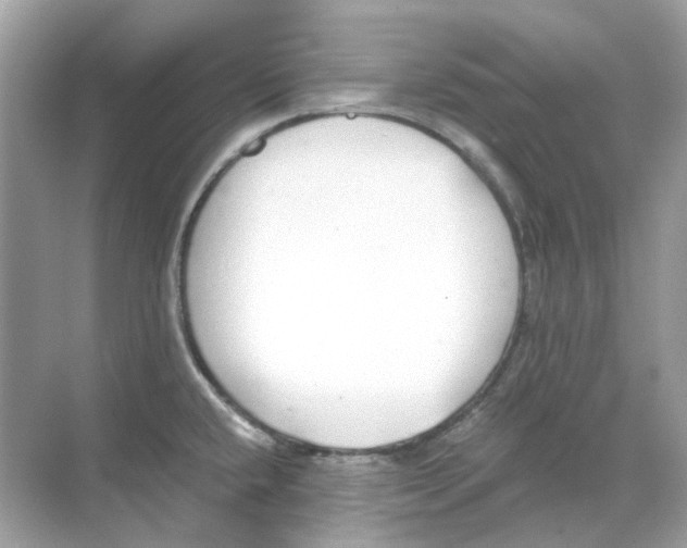 X0000068261432200605121808