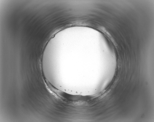 X0000068261433200605121808