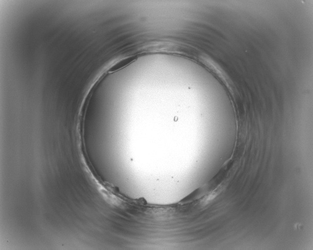 X0000068261434200605121808