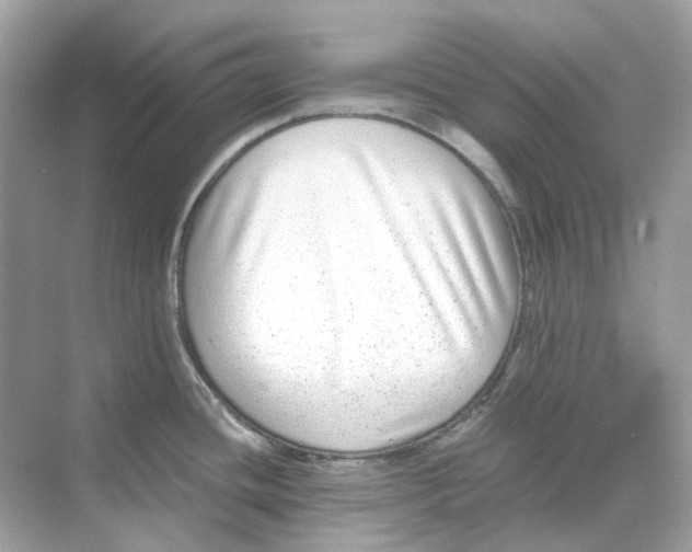 X0000068261436200605121808