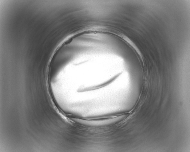 X0000068261437200605121808