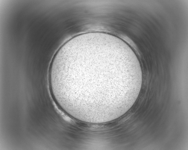 X0000068261439200605121809