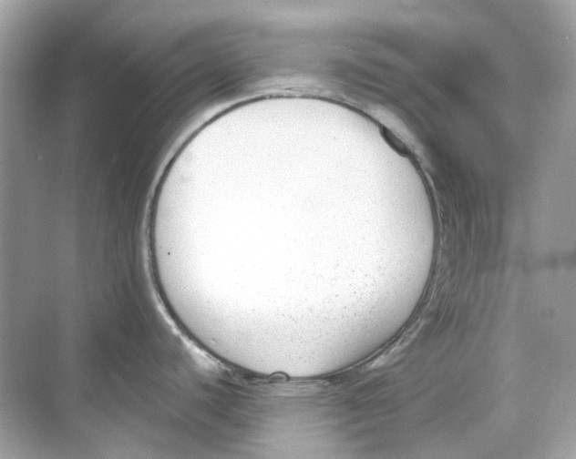 X0000068261440200605121809