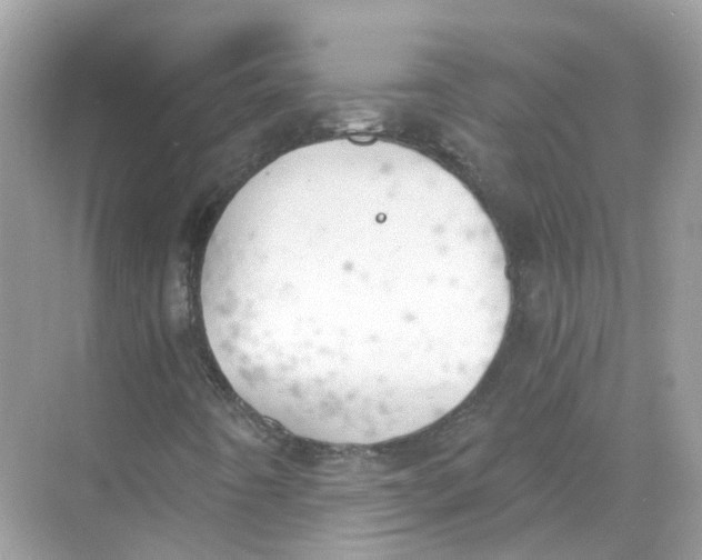 X0000068261442200605121808