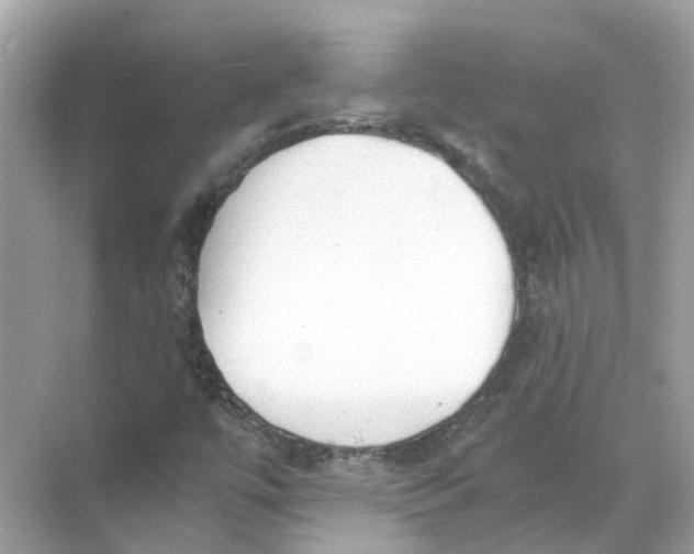 X0000068261447200605121808