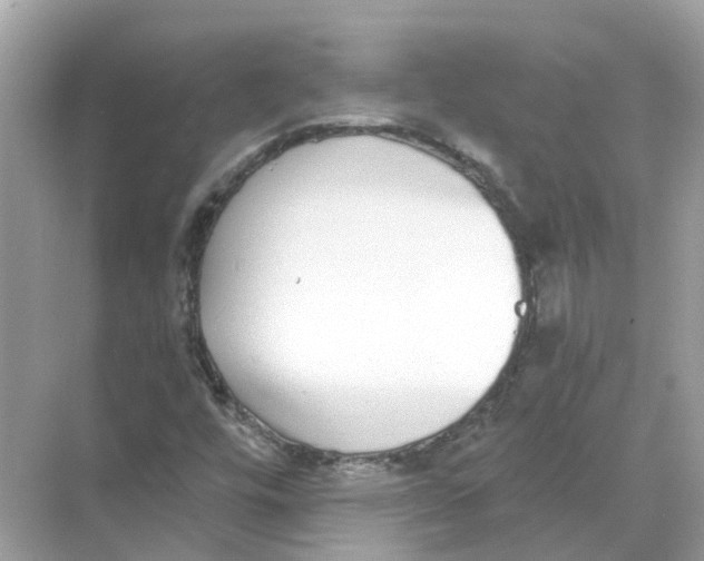 X0000068261448200605121808