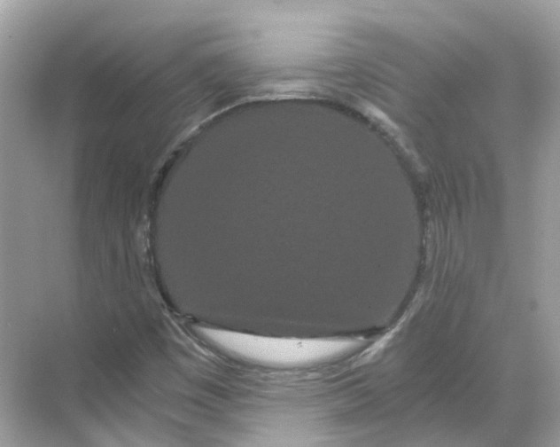 X0000068261449200605121808