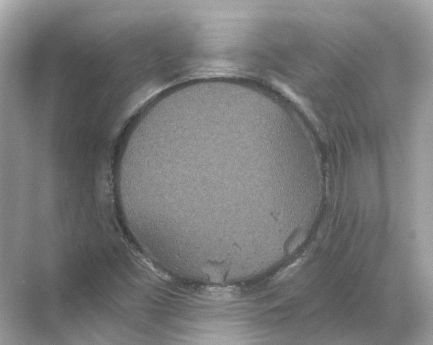 X0000068261453200605121808