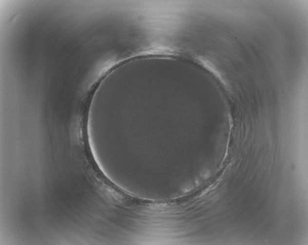 X0000068261455200605121807