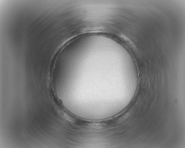 X0000068261457200605121807