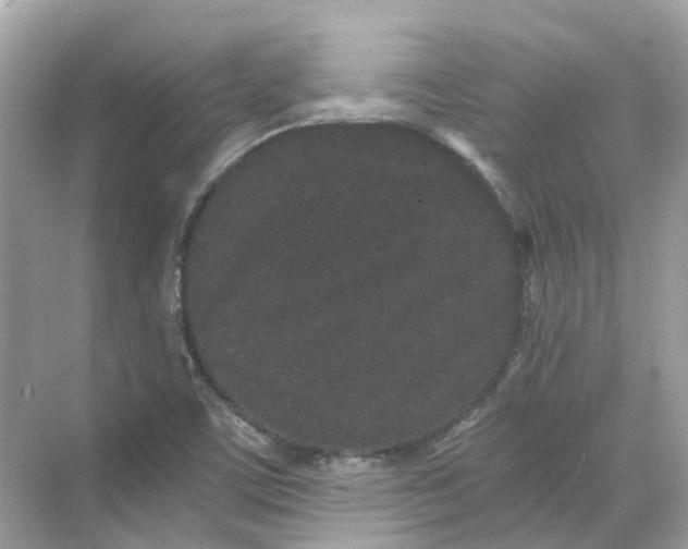 X0000068261459200605121807