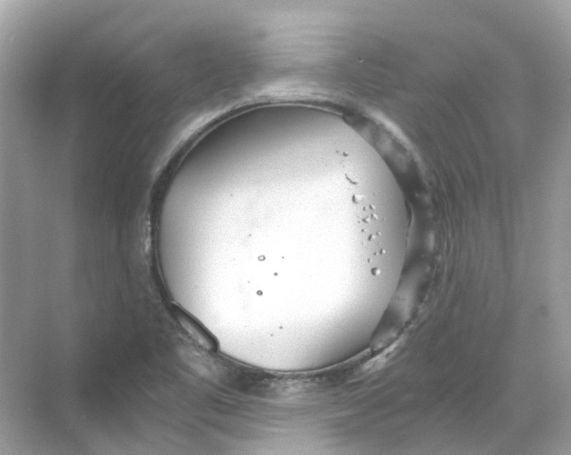 X0000068261461200605121807