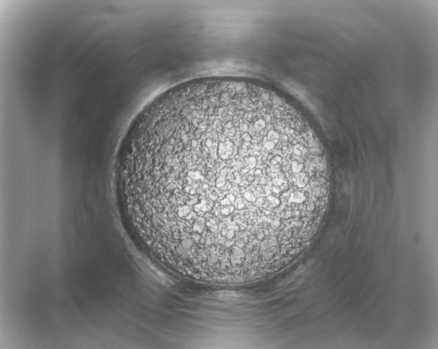 X0000068261463200605121807