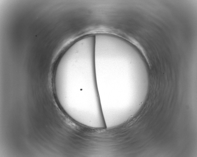 X0000068261464200605121807