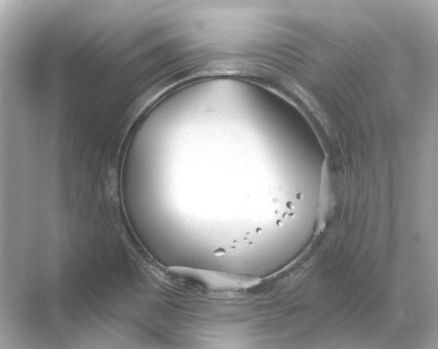 X0000068261465200605121807